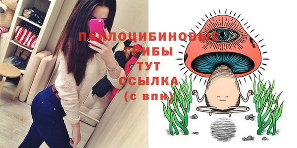 бутират Алзамай